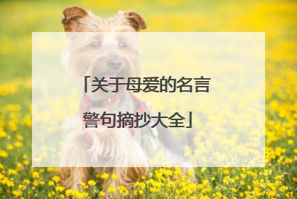 关于母爱的名言警句摘抄大全