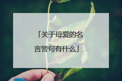 关于母爱的名言警句有什么