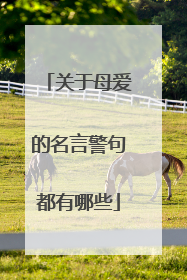 关于母爱的名言警句都有哪些