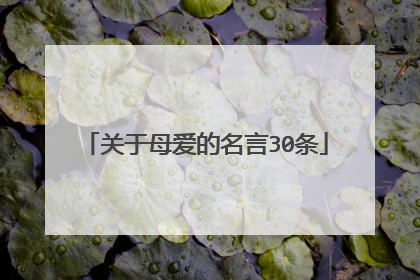 关于母爱的名言30条