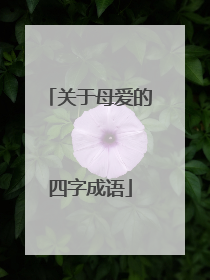 关于母爱的四字成语