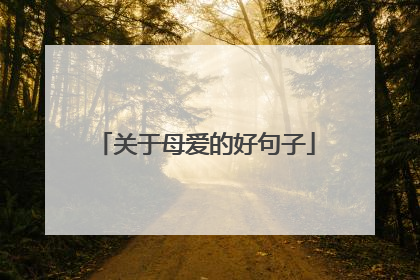 关于母爱的好句子