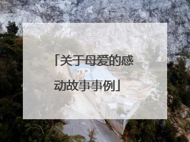 关于母爱的感动故事事例