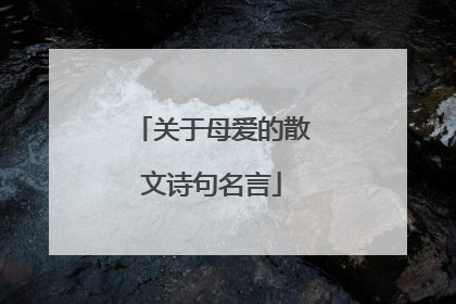 关于母爱的散文诗句名言