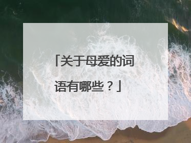 关于母爱的词语有哪些?