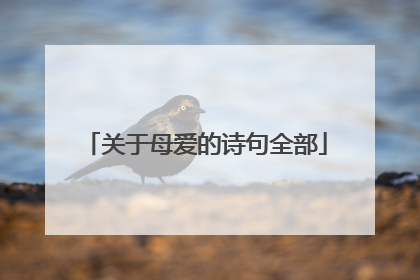 关于母爱的诗句全部