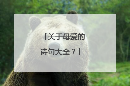 关于母爱的诗句大全?