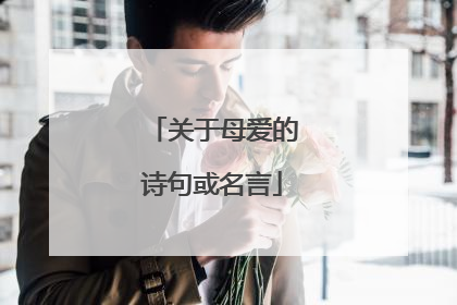 关于母爱的诗句或名言