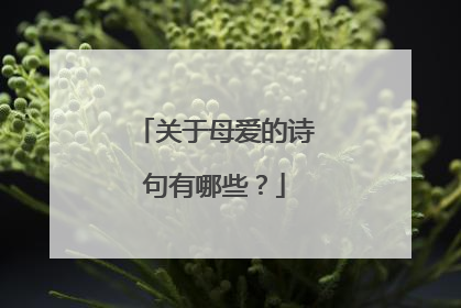 关于母爱的诗句有哪些?