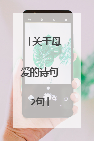关于母爱的诗句2句