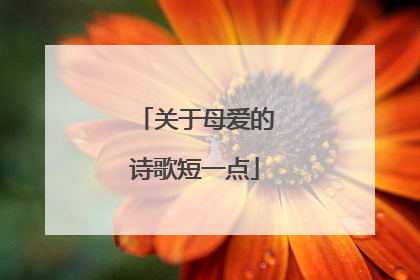 关于母爱的诗歌短一点