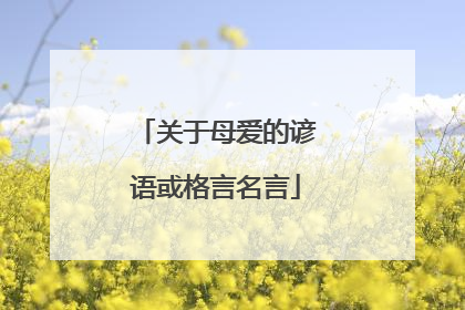 关于母爱的谚语或格言名言