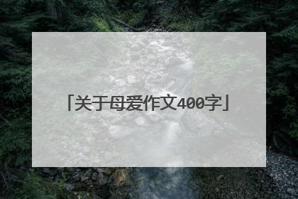 关于母爱作文400字