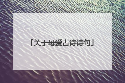 关于母爱古诗诗句