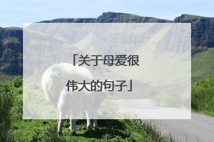 关于母爱很伟大的句子