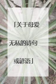 关于母爱无私的诗句或谚语