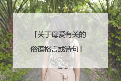 关于母爱有关的俗语格言或诗句