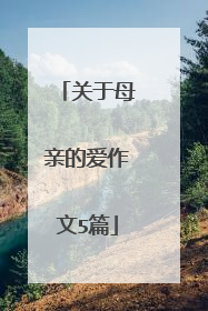 关于母亲的爱作文5篇