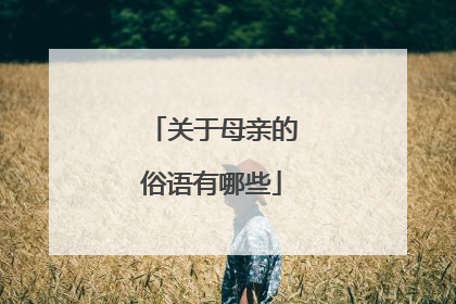关于母亲的俗语有哪些