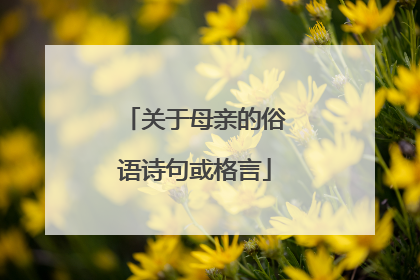 关于母亲的俗语诗句或格言