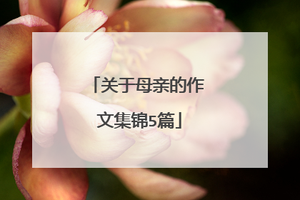 关于母亲的作文集锦5篇