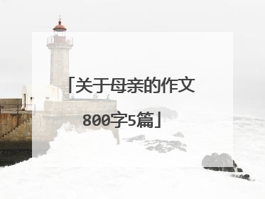 关于母亲的作文800字5篇