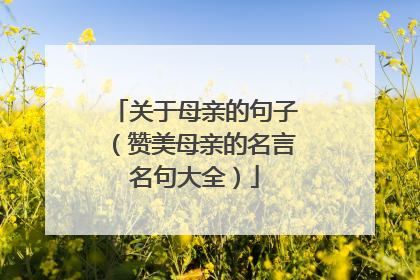 关于母亲的句子(赞美母亲的名言名句大全)