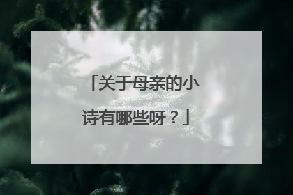 关于母亲的小诗有哪些呀？