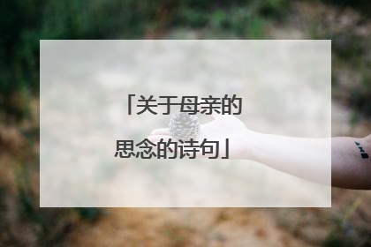 关于母亲的思念的诗句