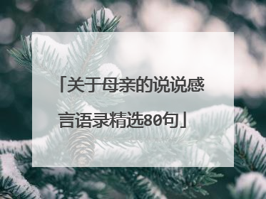 关于母亲的说说感言语录精选80句