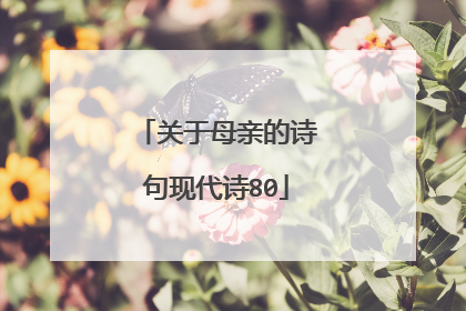 关于母亲的诗句现代诗80