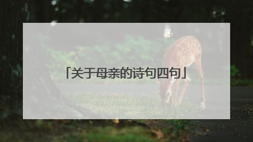 关于母亲的诗句四句