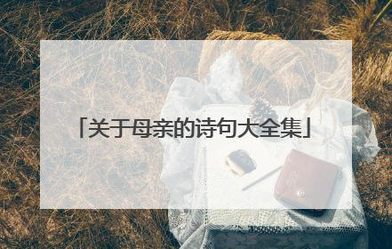 关于母亲的诗句大全集