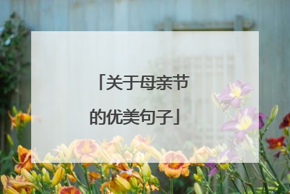 关于母亲节的优美句子