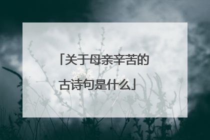 关于母亲辛苦的古诗句是什么
