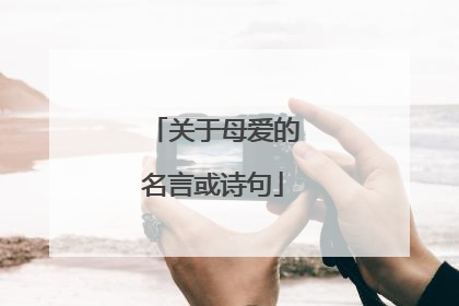 关于母爱的名言或诗句