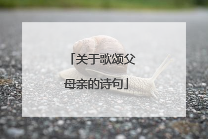 关于歌颂父母亲的诗句