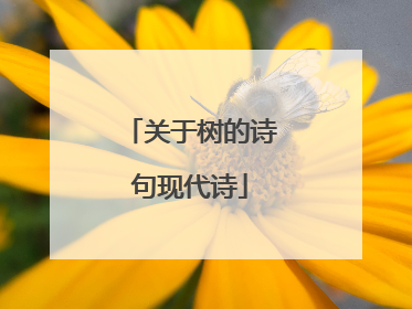 关于树的诗句现代诗