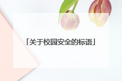 关于校园安全的标语