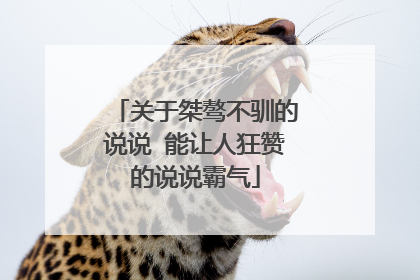 关于桀骜不驯的说说 能让人狂赞的说说霸气