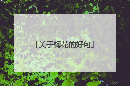 关于梅花的好句