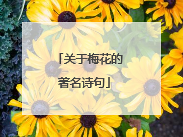 关于梅花的著名诗句