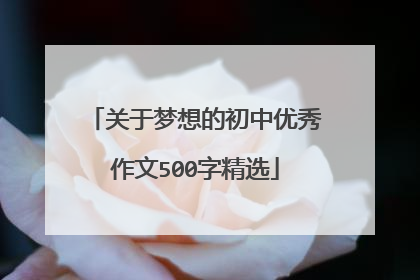 关于梦想的初中优秀作文500字精选