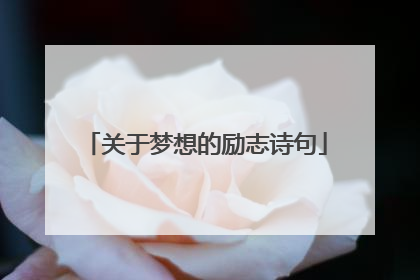 关于梦想的励志诗句