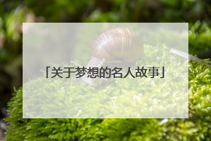 关于梦想的名人故事