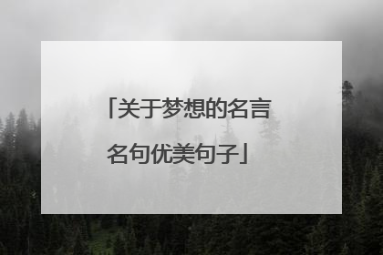 关于梦想的名言名句优美句子