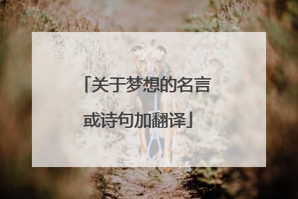 关于梦想的名言或诗句加翻译