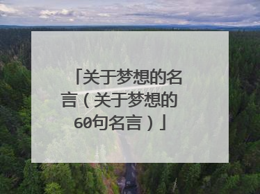 关于梦想的名言(关于梦想的60句名言)