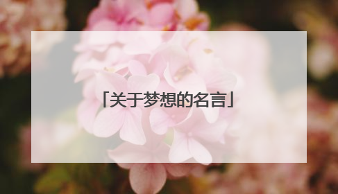 关于梦想的名言