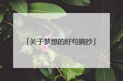 关于梦想的好句摘抄